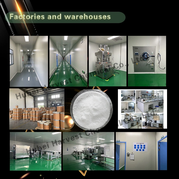 Factory CAS 101831-37-2 Diclazuril Powder API Pharmaceutical Grade Diclazuril